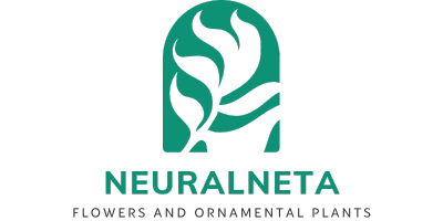 Neuralneta